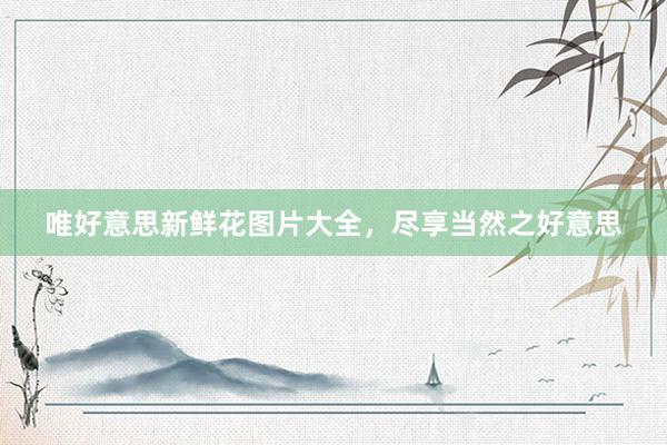 唯好意思新鲜花图片大全，尽享当然之好意思
