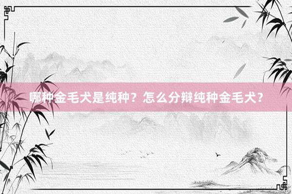哪种金毛犬是纯种？怎么分辩纯种金毛犬？