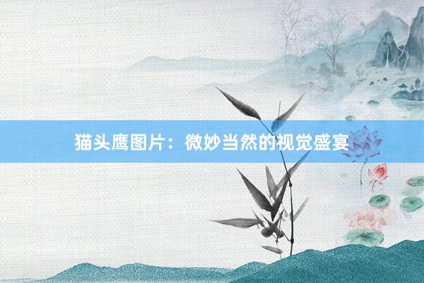 猫头鹰图片：微妙当然的视觉盛宴