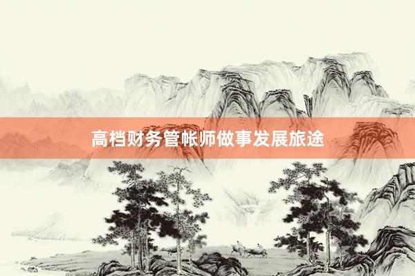 高档财务管帐师做事发展旅途