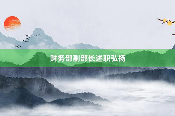 财务部副部长述职弘扬